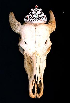 miss, by Zeni Ballazhi