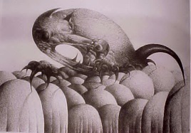 Fear, by Nimon Lokaj