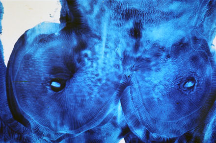 my body brush, by Zake Prelvukaj