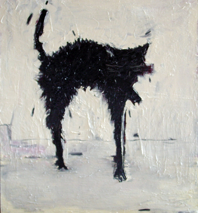 Cat 3, by Amir Ibrahimi