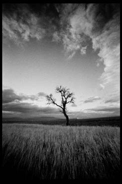 Untitled, by Afrim Spahiu