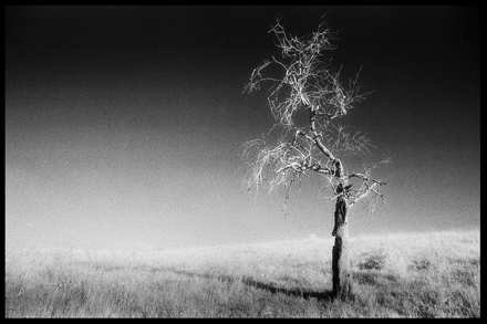 Untitled, by Afrim Spahiu