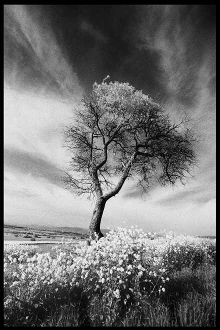 Untitled, by Afrim Spahiu