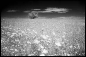 untitled, by Afrim Spahiu