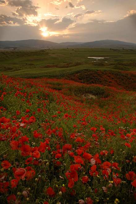 Untitled, by Afrim Spahiu