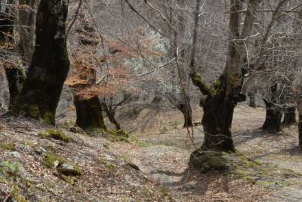 Untitled, by Afrim Spahiu