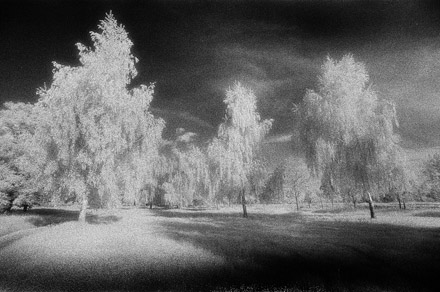 Untitled, by Afrim Spahiu