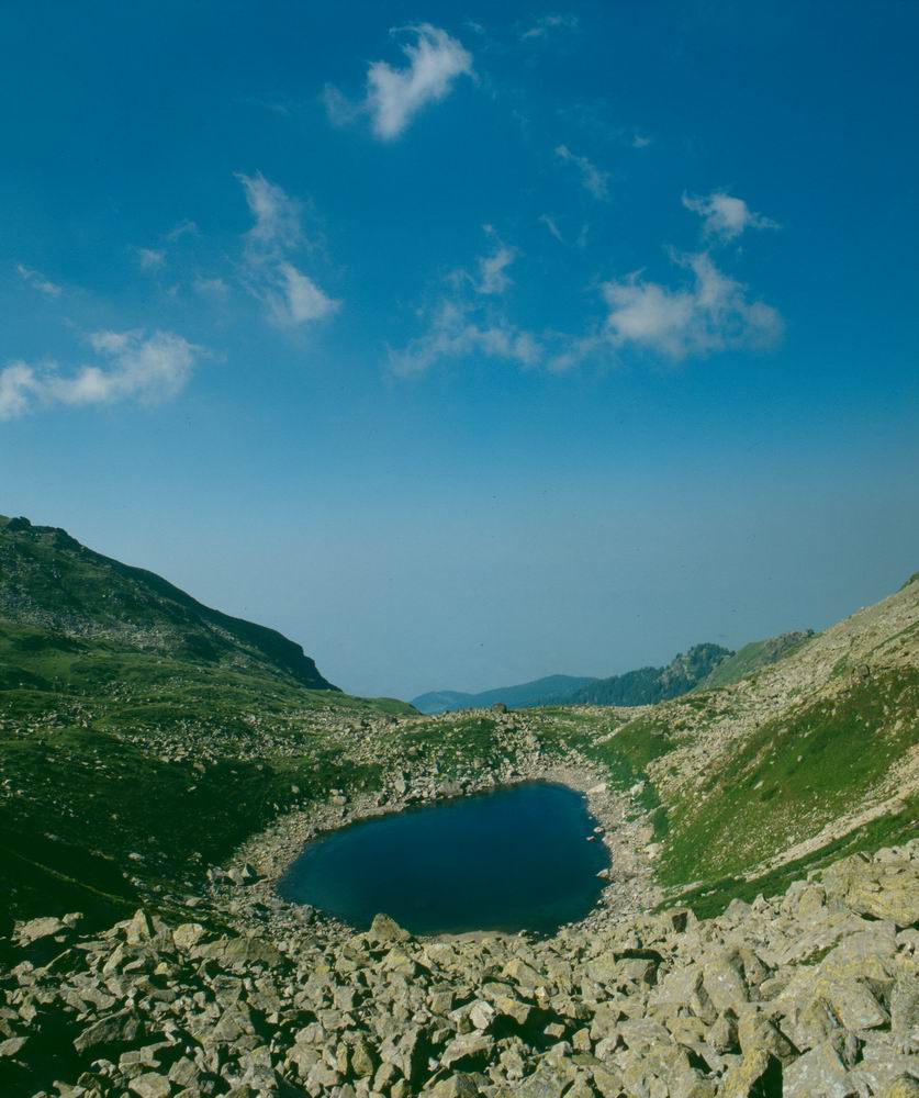Syri i Kosoves, by Afrim Spahiu
