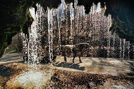 Untitled, by Afrim Spahiu