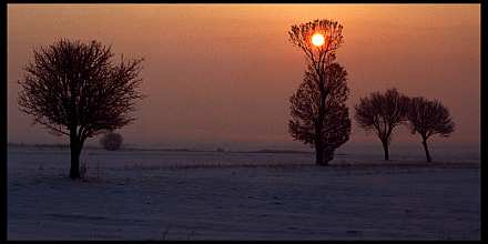 Untitled, by Afrim Spahiu