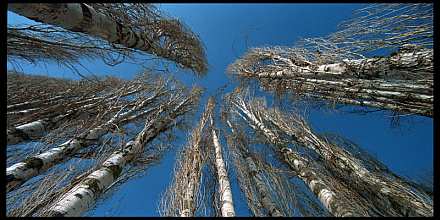 Untitled, by Afrim Spahiu