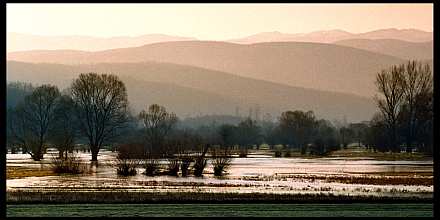 Untitled, by Afrim Spahiu