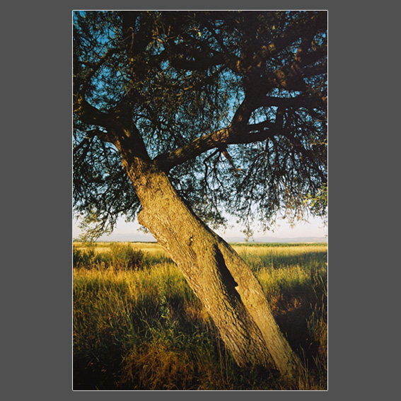 Composition 3, by Afrim Spahiu