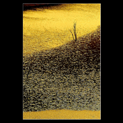 Q�ndresa - 4, by Afrim Spahiu