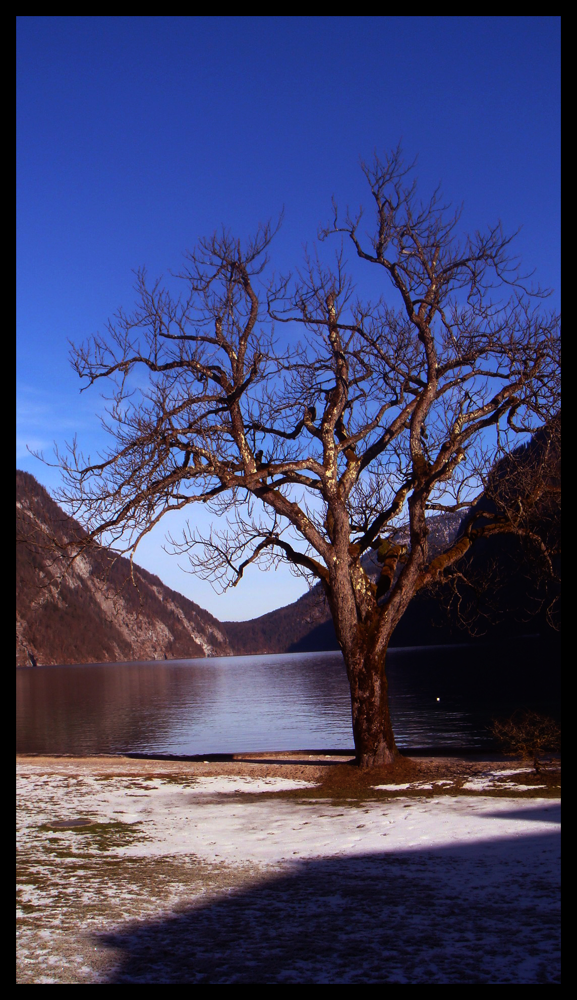 K�nigssee c, by Lul�zim Sh. Makolli