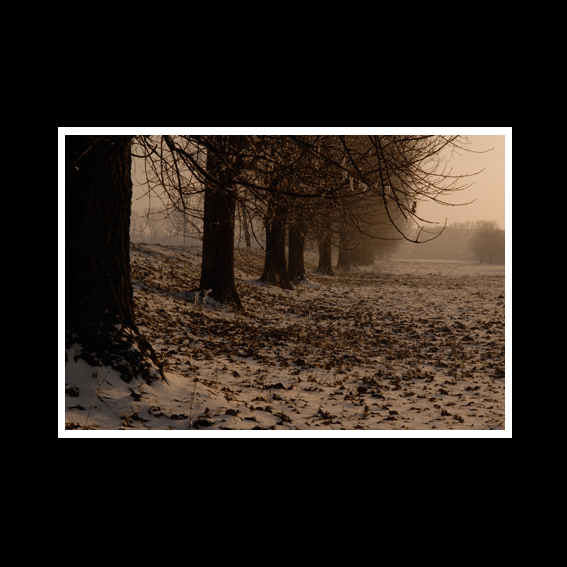 Composition 25, by Afrim Spahiu