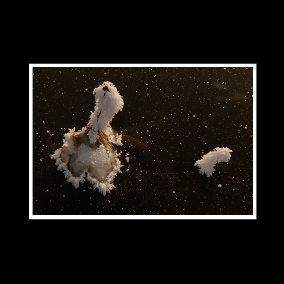 Composition 29, by Afrim Spahiu