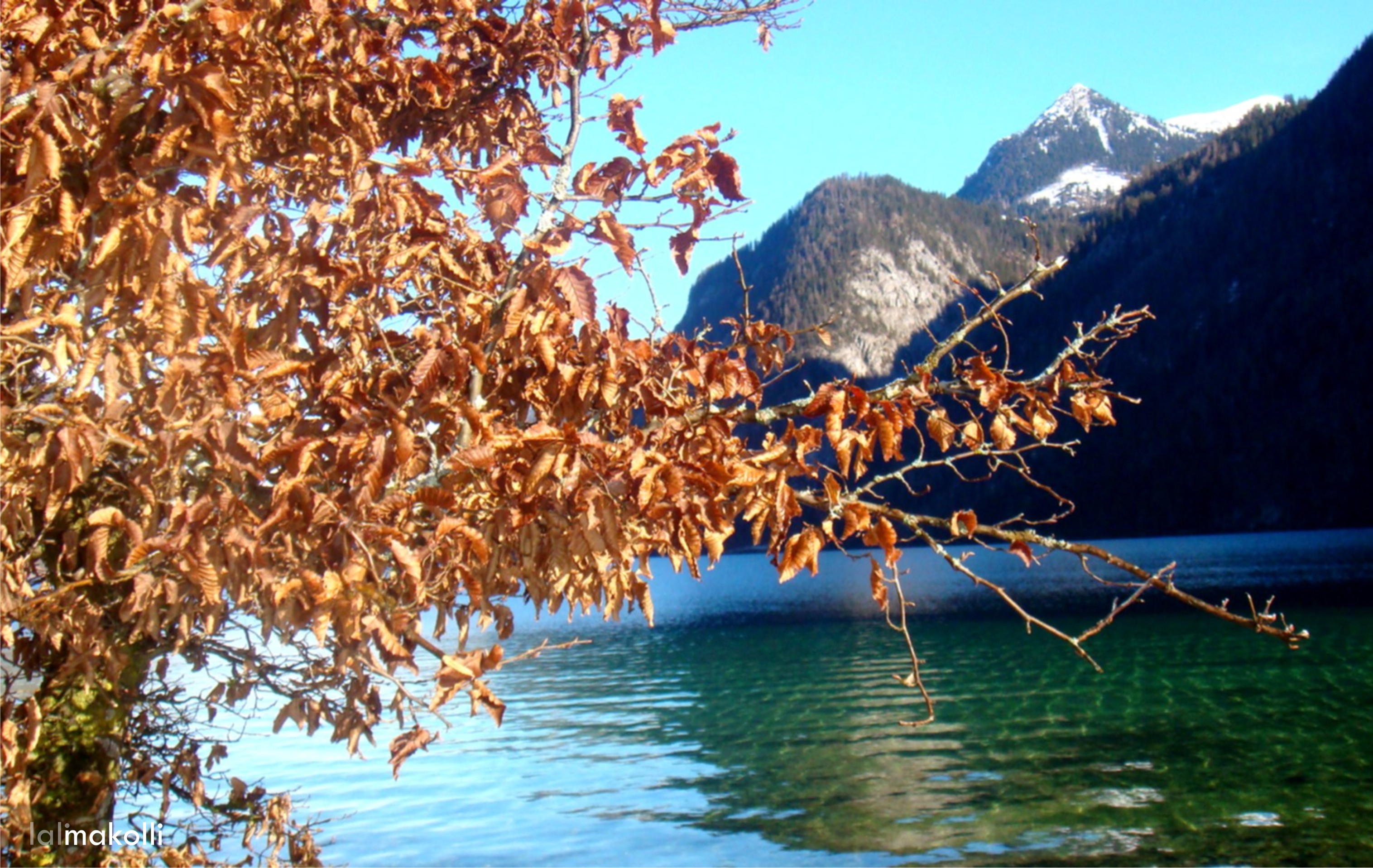 Vjeshta, by Lul�zim Sh. Makolli