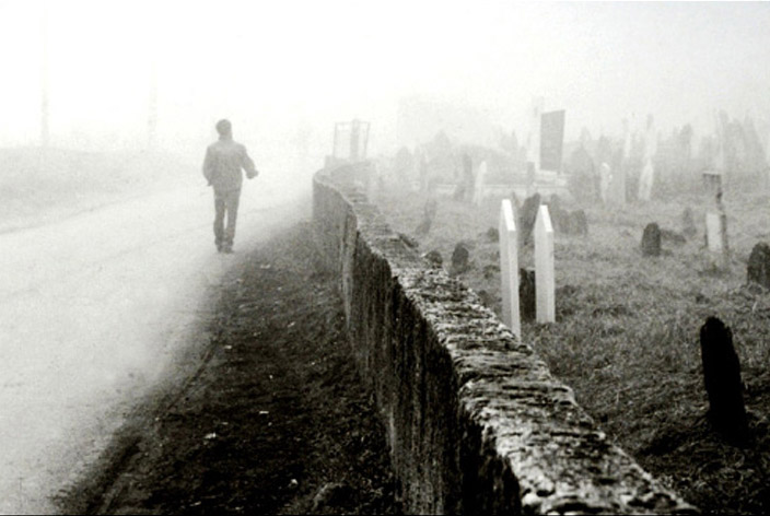 Toward the Fog, by Dashmir Izairi