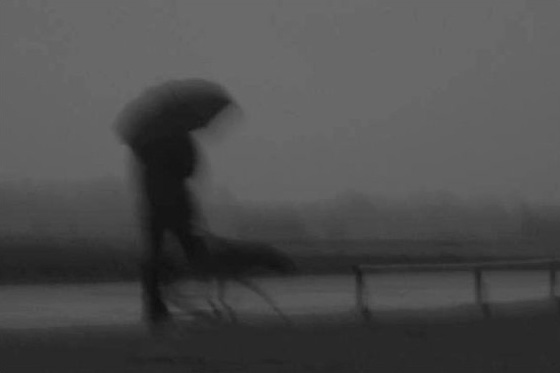 Man with a Dog and Umbrella, by Dashmir Izairi