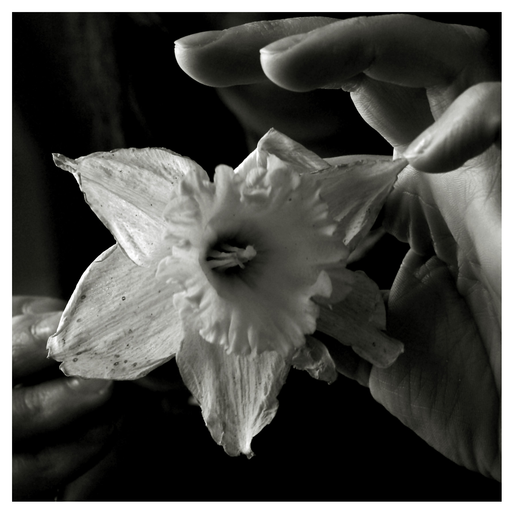 in memories...., by Dashmir Izairi