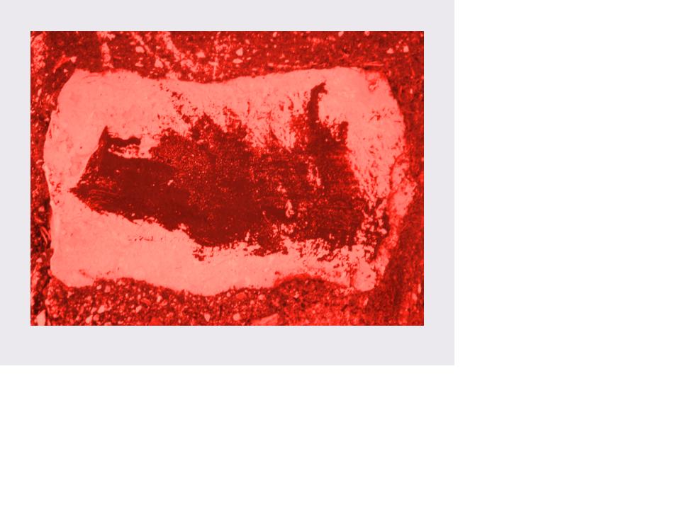 e kuqja, by Valdeta Veliu