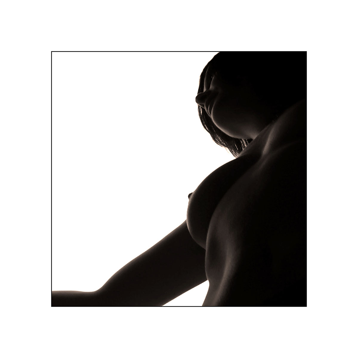 ivy ll, by Dashmir Izairi