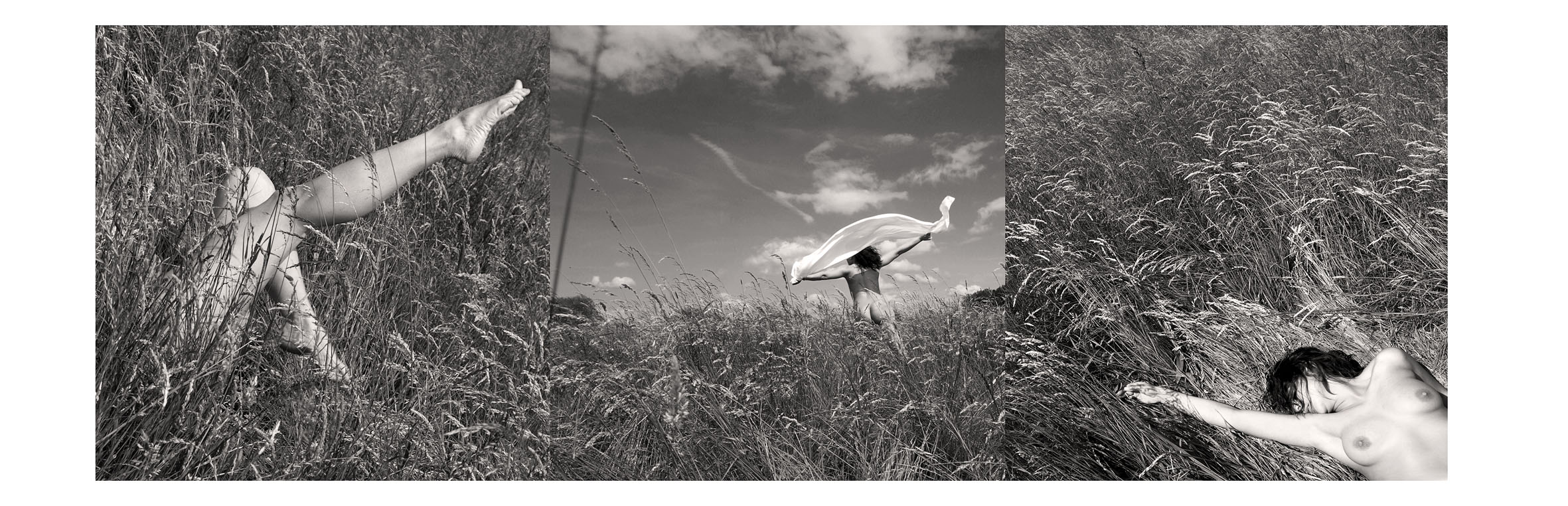 summertime I, by Dashmir Izairi