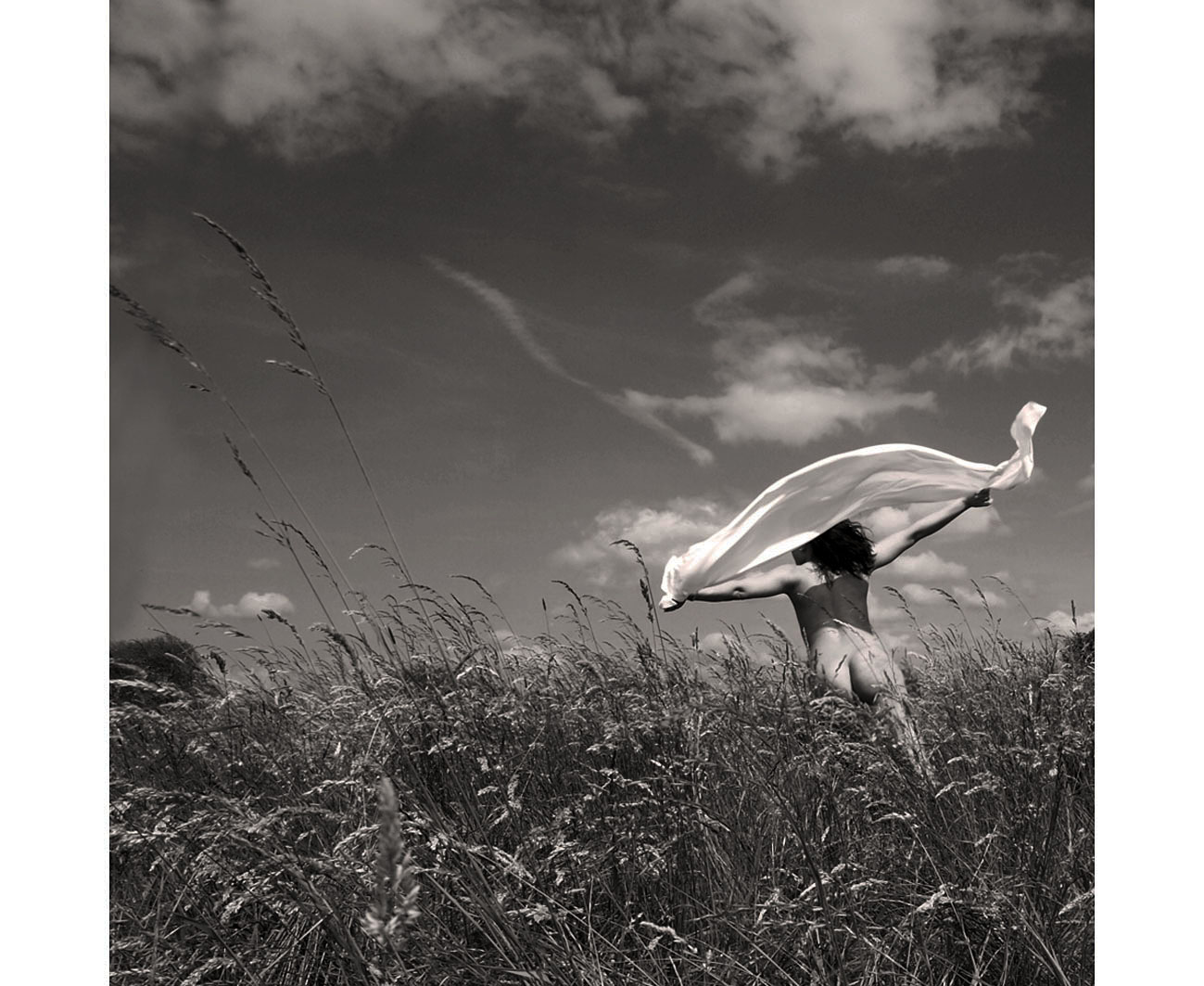 summertime II, by Dashmir Izairi
