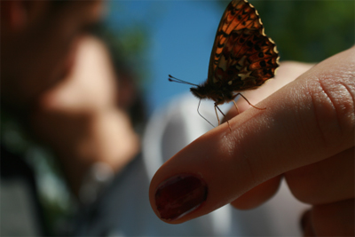 The Butterfly Kiss, by Edon Muhaxheri